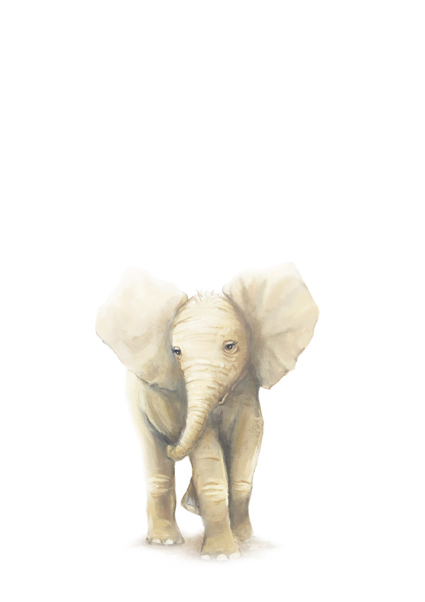 elephant