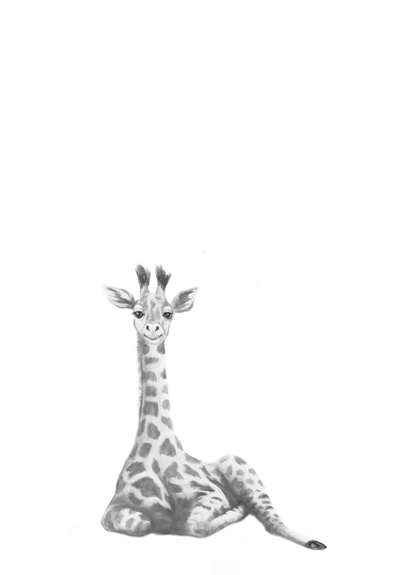grey-giraffeA4