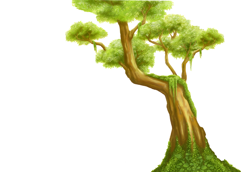 jungletree