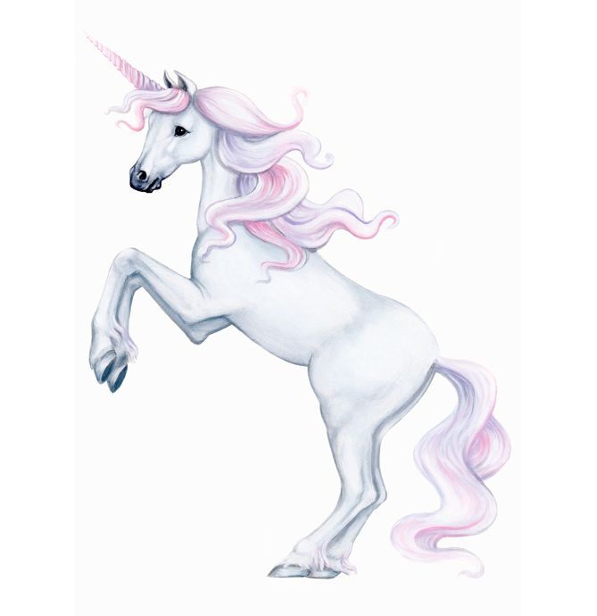 Unicorn-wall-sticker