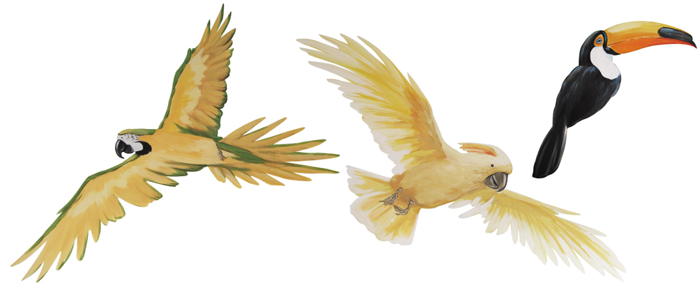 birds