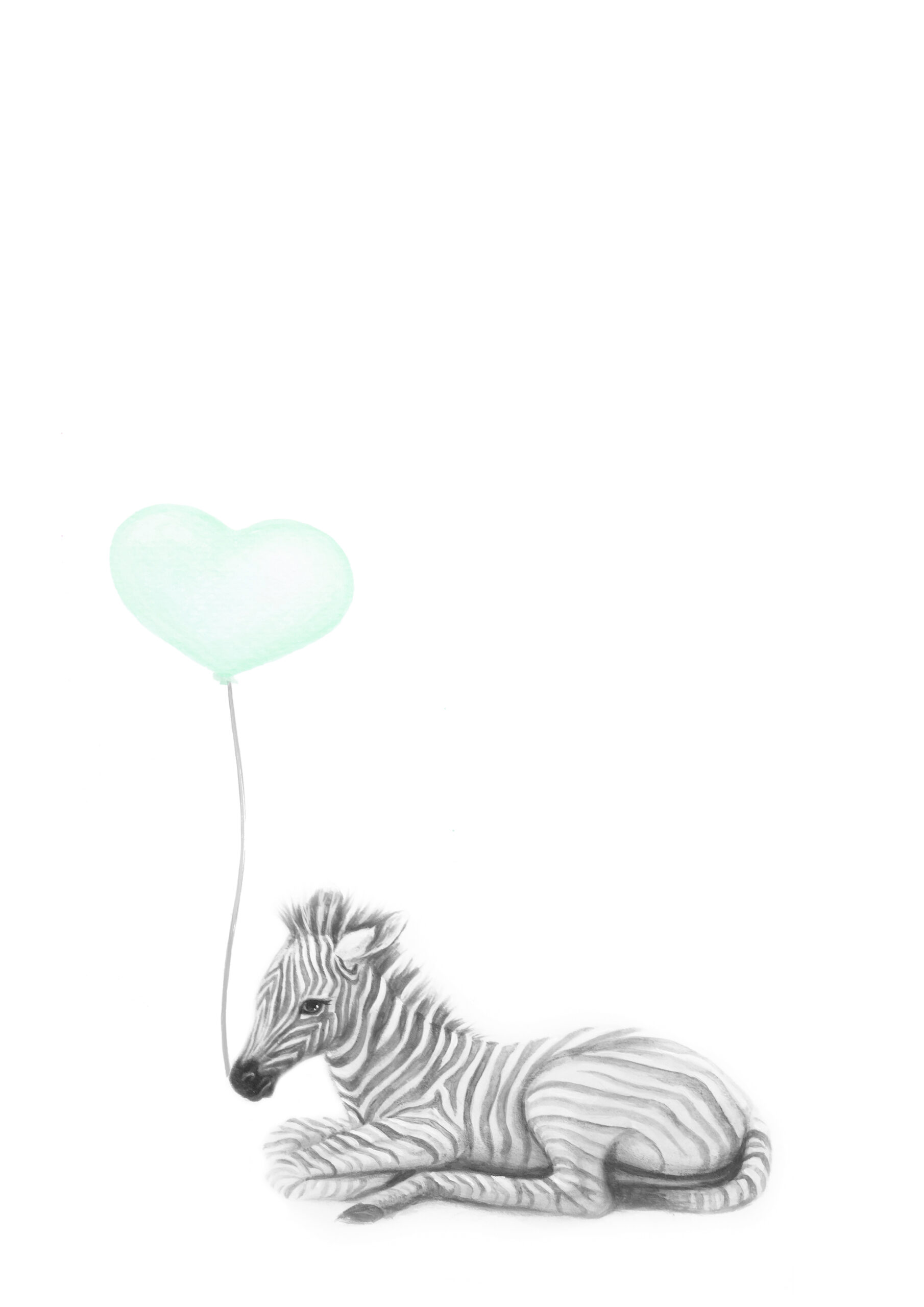 zebra-with-a-mint-green-heart-balloon animal-print-wall-art-of-zebra-with-a-mint-green-heart-balloon