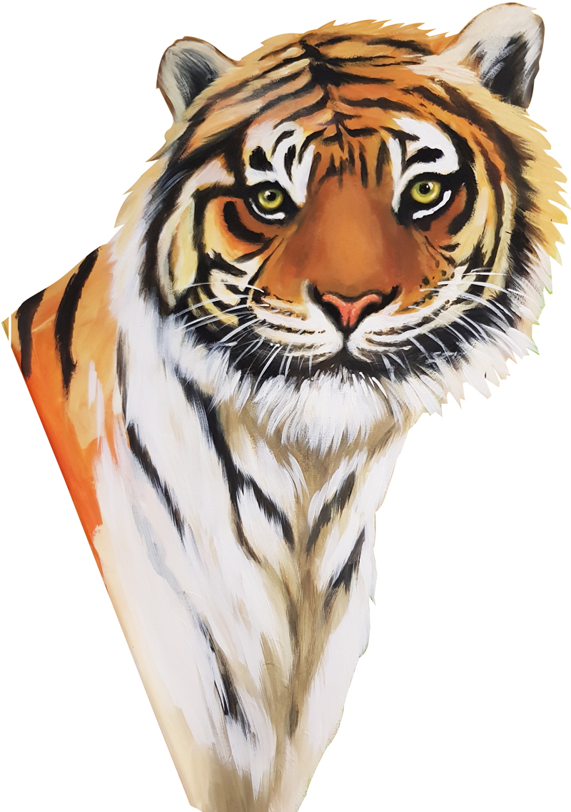 tiger