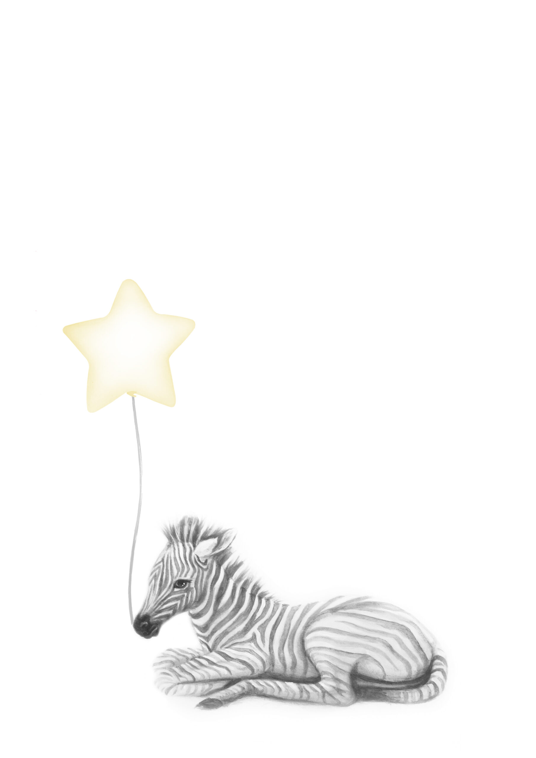 natural-zebra-baloon