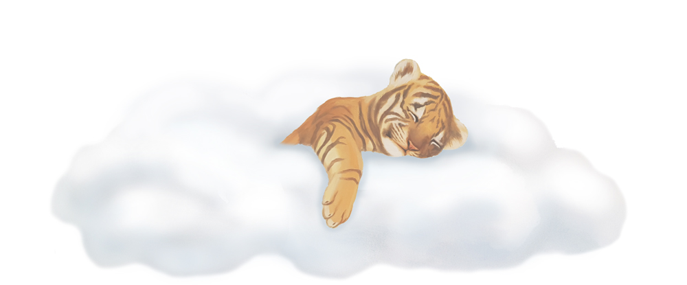 colour-tiger3