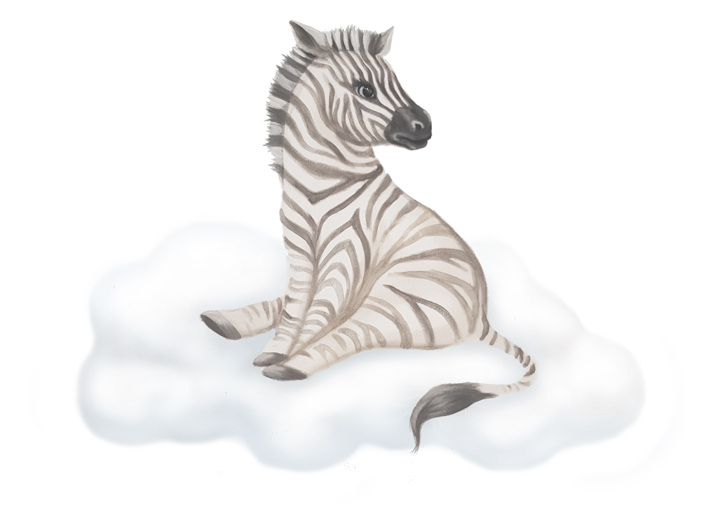 colour-zebra